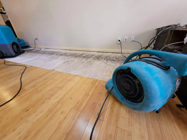 Professional Basement Flood Cleanup technician working in Naalehu, HI